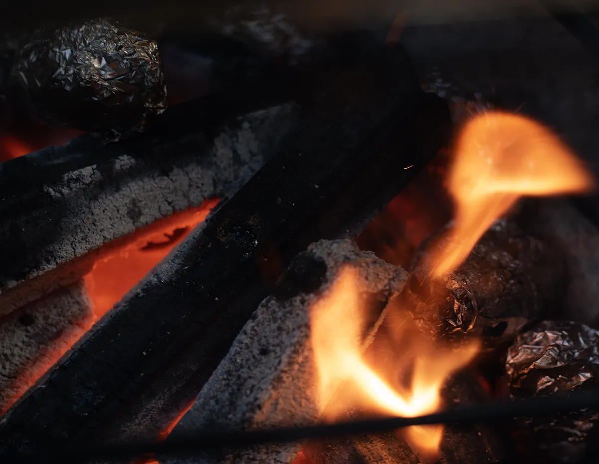 Big Green Egg Modus Operandi 5 Big Green Egg Modus Operandi - Afbeelding 3