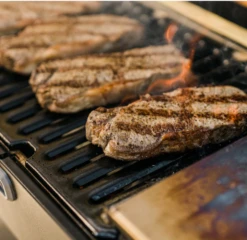 Masterbuilt Portable Charcoal Grill 15 Masterbuilt Portable Charcoal Grill -Barbecue Gereedschap image 256